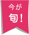 今が旬!